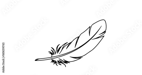 Feather illustration drawing of bird plumage for tattoo design and graphic element vector artwork isolated on white