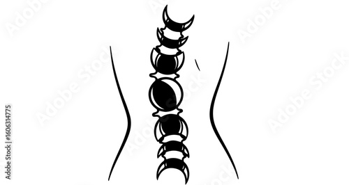 Spine illustration of human back anatomy for medical education and chiropractic resources vector drawing
