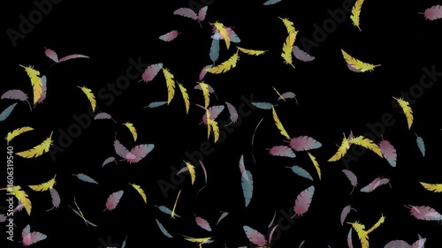 水彩風のカラフルな羽がふわっと中心から弾ける[4K-背景透過] Feather Floating Series:Watercolor Colorful Feathers Burst Out Gently from the Center[with Alpha Channel / Transparent Background]4K