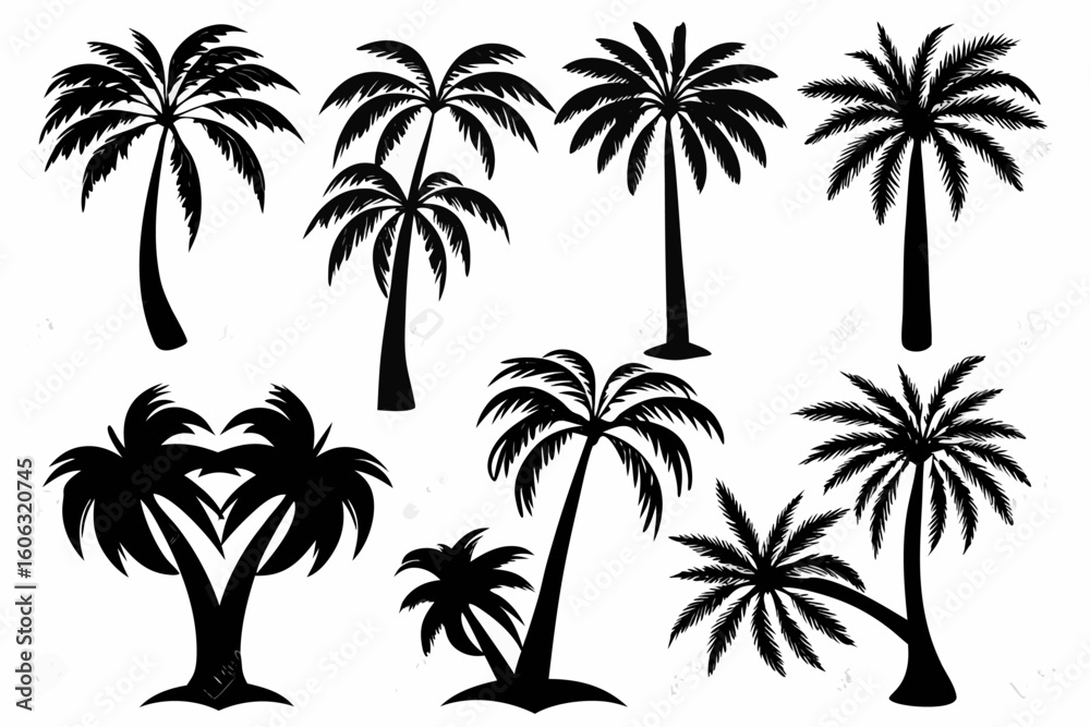 Obraz premium Vector silhouette of several palm trees of varying sizes against a white background in a simple illustration