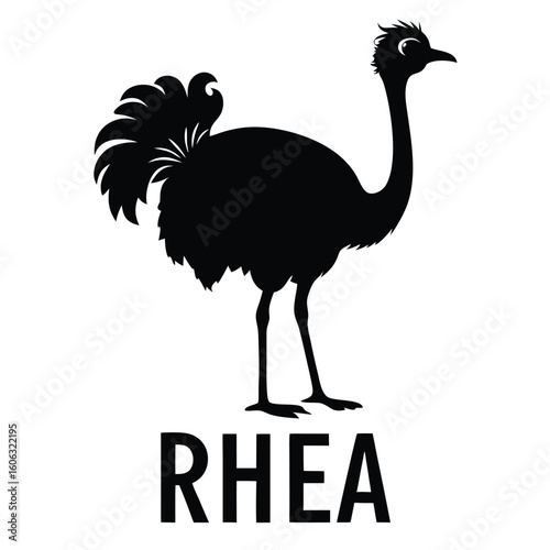 Silhouette of a Rhea Bird with Bold Text Naming the Species Black and White Illustration Emphasizing the Bird's Unique Features