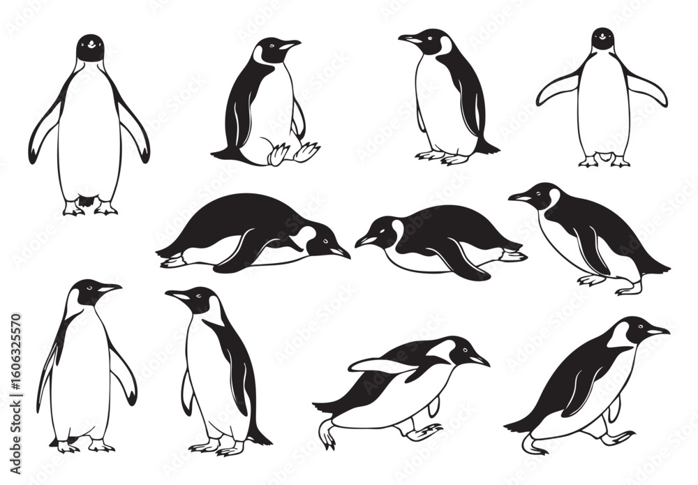 Fototapeta premium Charming vector set of penguins in various poses, perfect for nature and cold climate themes.