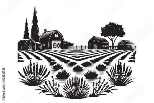 Rural Farm Landscape with Fields and Barns Vector Illustration