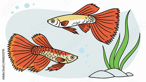 Guppy fish illustration tropical aquarium fish freshwater fish pet fish colorful fish tank fish art drawing