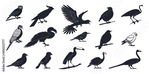 Collection of diverse bird silhouettes in various poses isolated on white background silhouette