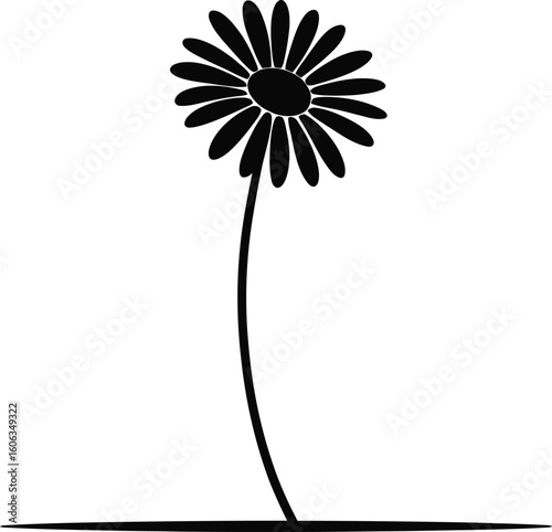 Black daisy silhouette flower white