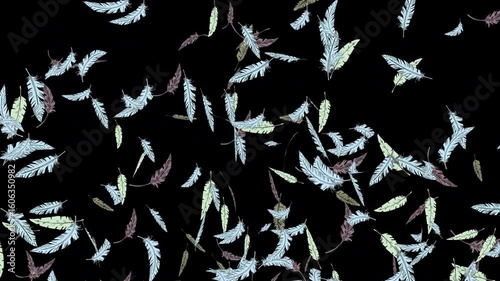手描き線画のカラフルな羽が中心からふわっと弾ける[4K-背景透過] Feather Floating Series:Hand-Drawn Line Feathers Burst Out from the Center[with Alpha Channel / Transparent Background]4K
