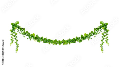 Green vine garland with small leaves plant