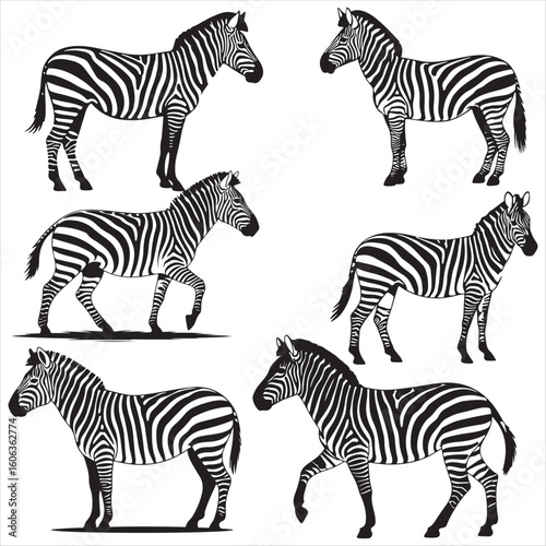Six Black and White Zebra Silhouettes:  Diverse Poses, Bold Graphic Style, African Wildlife Theme.