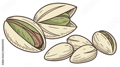 Hand drawn illustration of fresh pistachios with transparent background suitable for culinary art health and wellness food related design projects