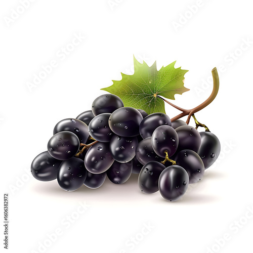 Bunch of Dark Grapes with Green Leaf Isolated on White Background