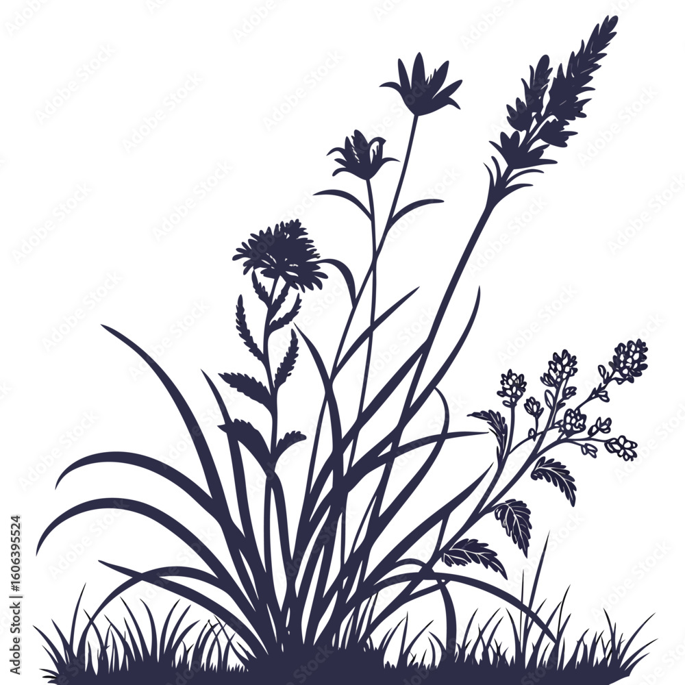 Naklejka premium black and white allium schoenoprasum