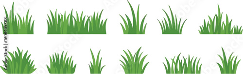 Cartoon Green Grass Clumps Collection on White Background Flat Design