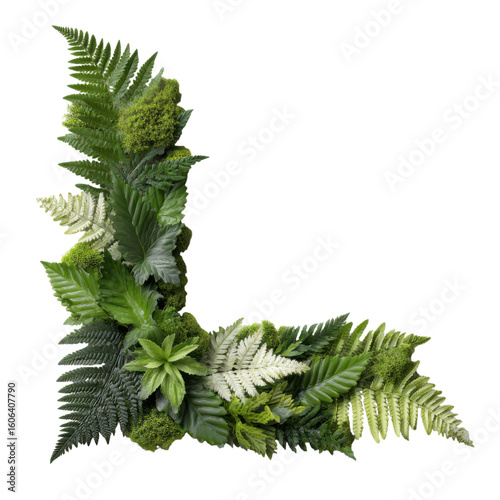 elegant nature-inspired corner frame with ferns and moss isolated on transparent background