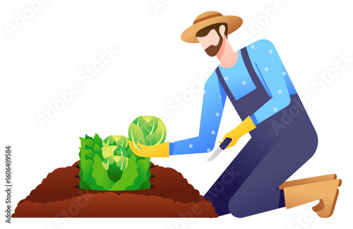 man harvesting vegetable