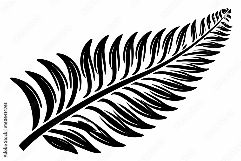 Obraz premium fern leaf isolated on white
