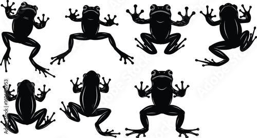 Tree frog silhouette collection, various frog poses on white background, tropical amphibian vector set, wildlife animal illustration for design