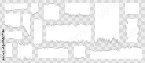 White torn paper tears pieces collection isolated with soft shadows realistic vector illustration