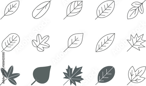 Leaf Line Art Set, Various Shapes, Transparent Background, Outline Designs