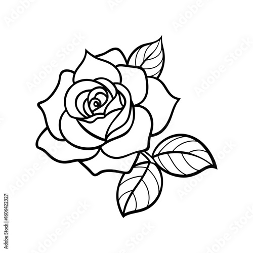 rosa carolina with leaf vector line art