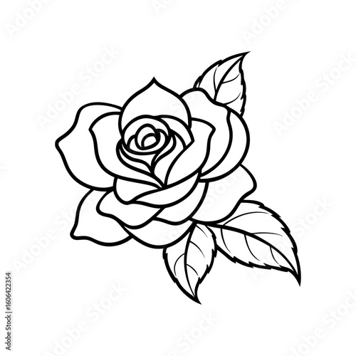 rosa carolina with leaf vector line art