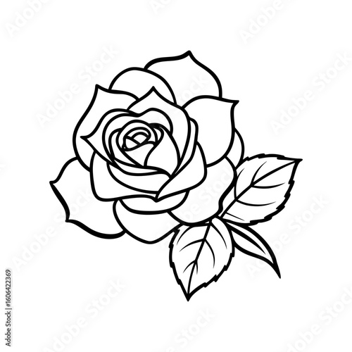 rosa carolina with leaf vector line art