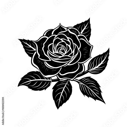 rosa carolina with leaf vector art