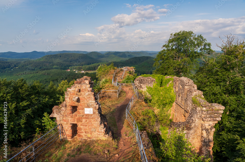 Fototapeta premium Château du Falkenstein in France