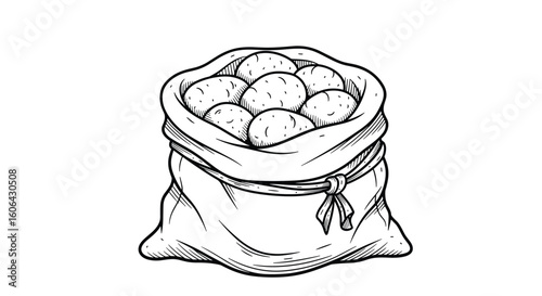 A generous sack filled with many freshly harvested whole potatoes ready for culinary use or storage