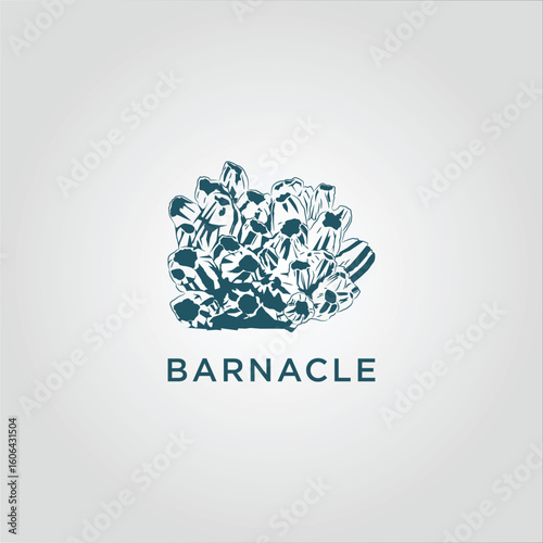 barnacle group vintage hand drawing, vector