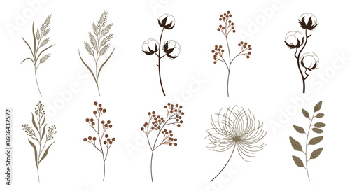 Elegant collection of botanical elements featuring delicate wildflowers and dried grasses for artistic design projects
