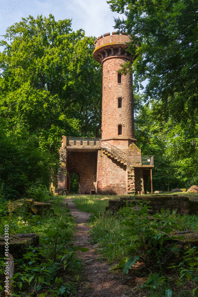 Obraz premium Stephanskloster Ruins, Heidelberg, Germany