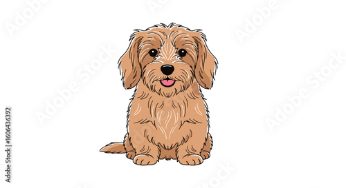 Adorable fluffy doggy sitting with happy tongue out adorable fluffy doggy sitting with happy tongue out looking directly at the camera