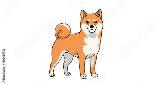 Adorable shiba inu dog standing proudly with a happy expression and curled tail