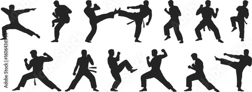 Karate silhouettes martial arts fighters, black belt kicks, fighting stances, self-defense moves, combat training, dojo practice, dynamic poses, action clipart vector
