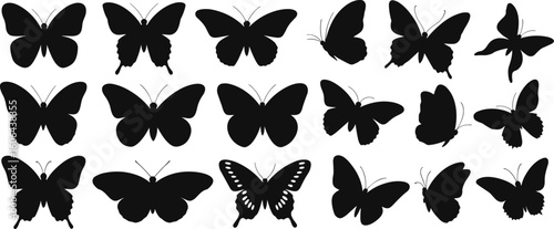 Butterfly silhouette vector collection, black insect icons, flying butterfly clipart, nature graphic elements, decorative shapes for design projects