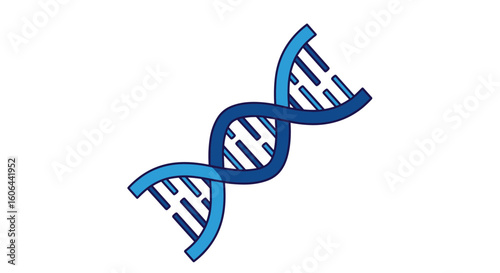 Understanding the fundamental building blocks of life and heredity through the double helix structure of dna