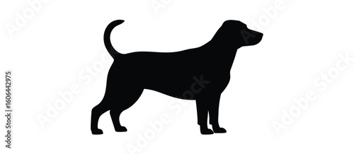 Silhouette of a standing dog with a curled tail