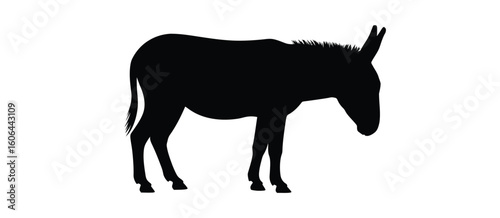 Black silhouette of a donkey standing on a white background