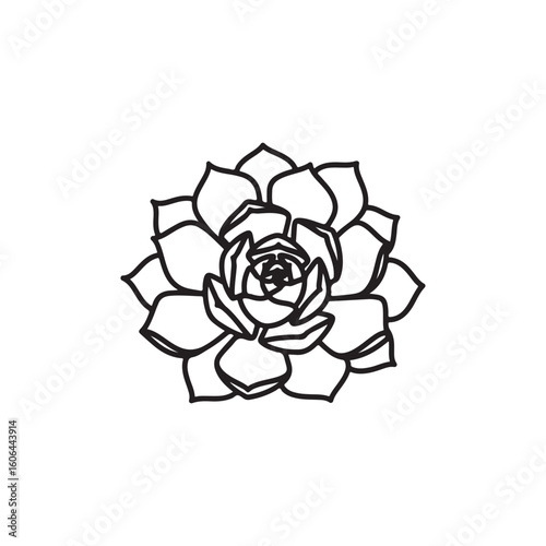 black and white line drawing of a succulent or flowering plant with intricate, overlapping petals or leaves. The overall shape resembles a rosette or spiral pattern, creating a visually striking and g