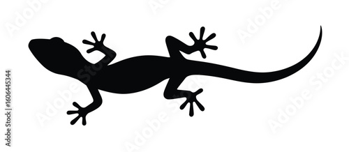 Silhouette of a gecko lizard with detailed toes on a white background