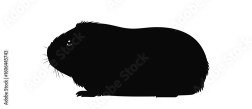 Silhouette of a fluffy guinea pig on a white background