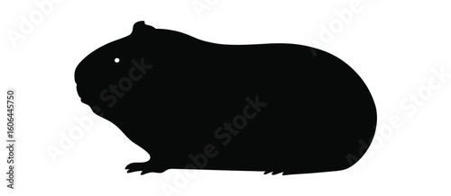Silhouette of a small guinea pig sitting on a white background