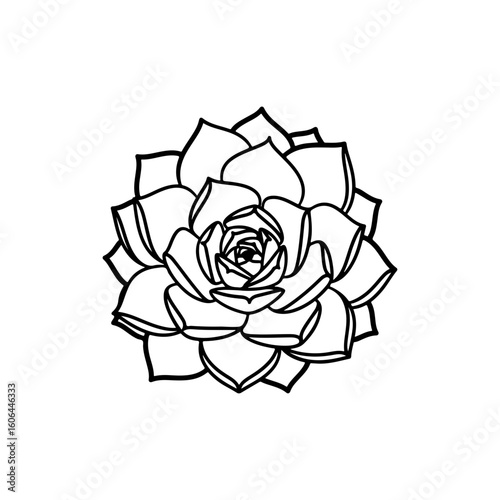 black and white line drawing of a succulent or flowering plant with intricate, overlapping petals or leaves. The overall shape resembles a rosette or spiral pattern, creating a visually striking and g