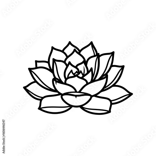 black and white line drawing of a succulent or flowering plant with intricate, overlapping petals or leaves. The overall shape resembles a rosette or spiral pattern, creating a visually striking and g