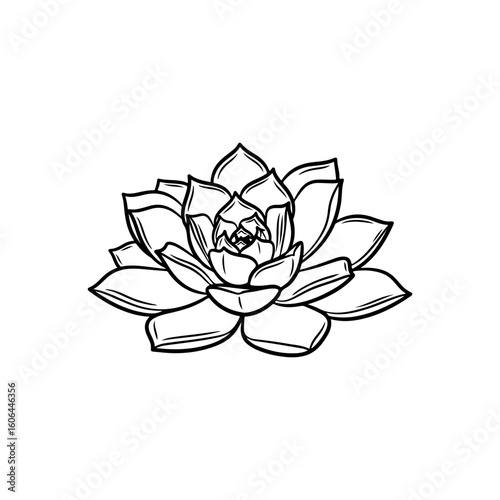 black and white line drawing of a succulent or flowering plant with intricate, overlapping petals or leaves. The overall shape resembles a rosette or spiral pattern, creating a visually striking and g