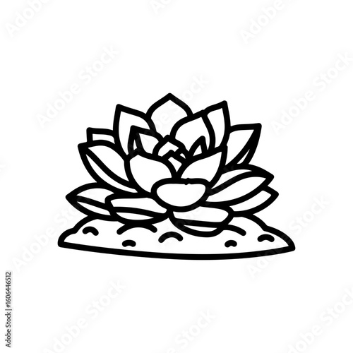 black and white line drawing of a succulent or flowering plant with intricate, overlapping petals or leaves. The overall shape resembles a rosette or spiral pattern, creating a visually striking and g