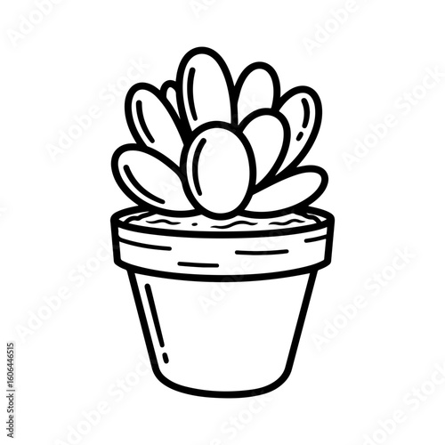 black and white line drawing of a succulent or flowering plant with intricate, overlapping petals or leaves. The overall shape resembles a rosette or spiral pattern, creating a visually striking and g
