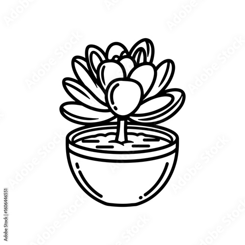 black and white line drawing of a succulent or flowering plant with intricate, overlapping petals or leaves. The overall shape resembles a rosette or spiral pattern, creating a visually striking and g
