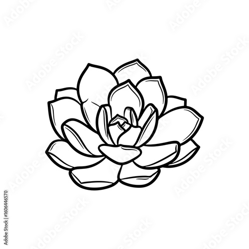black and white line drawing of a succulent or flowering plant with intricate, overlapping petals or leaves. The overall shape resembles a rosette or spiral pattern, creating a visually striking and g